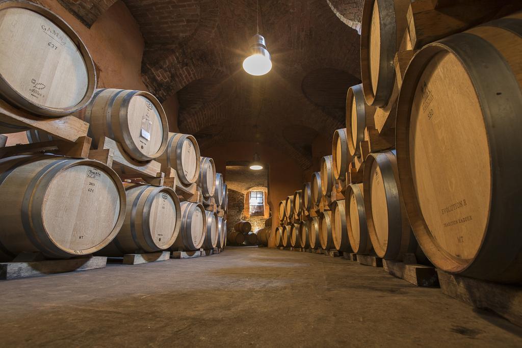 Marchesi Alfieri - Cantine E Ospitalita San Martino Alfieri Екстериор снимка